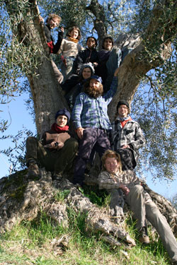 Olive-pickers.jpg